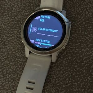 Garmin Fenix 6s Solar smart watch